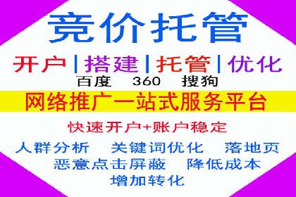 行业领先企业的SEM代理案例剖析